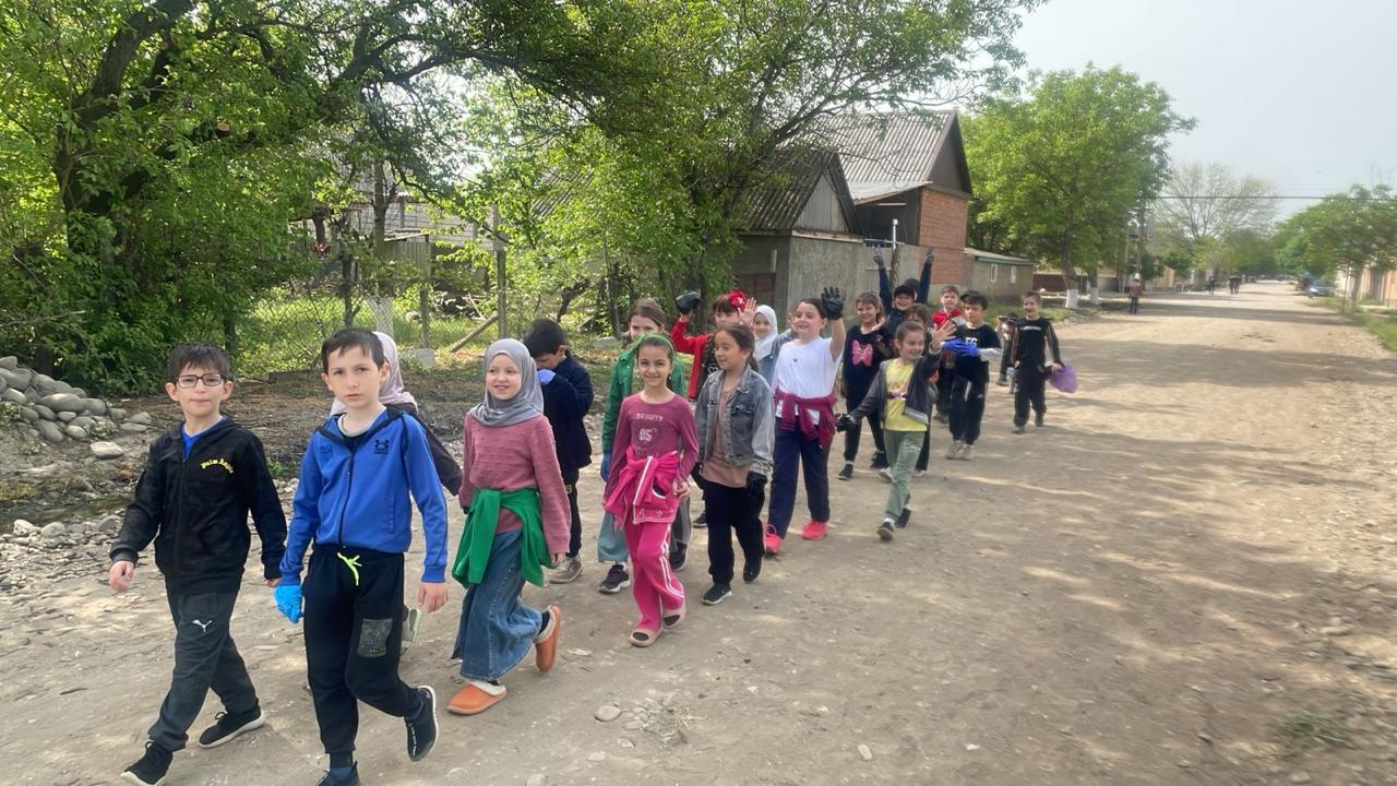 Волонтерские отряды.